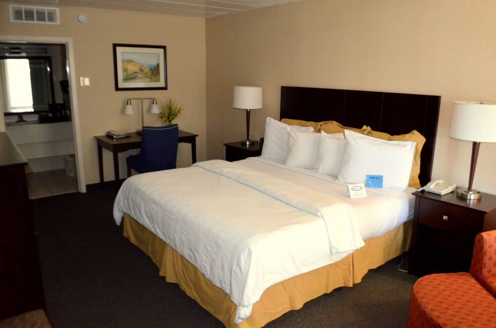 Chapel Hill University Inn - photo 20