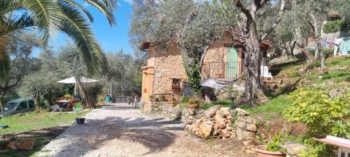 La Merla del Tasso — Camaiore — photo 4