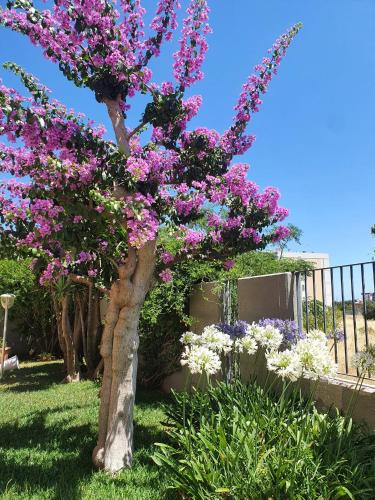 La Bouganville — 4-Star Luxury Hotel in Mola Di Bari, Italy