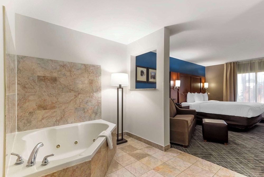 Comfort Suites Atlanta Airport - photo 16