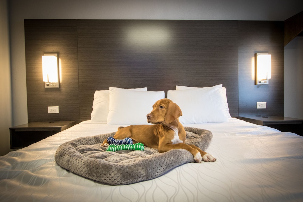 Envi Boutique Hotel Henderson Evansville South - photo 107
