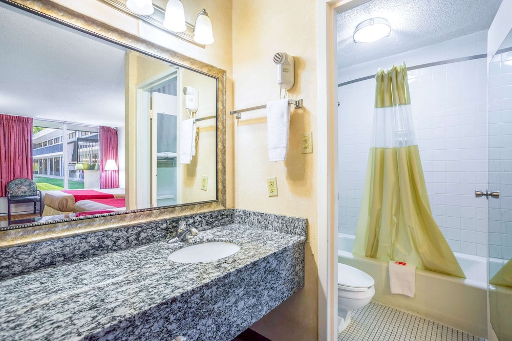 Econo Lodge Cave City - photo 19