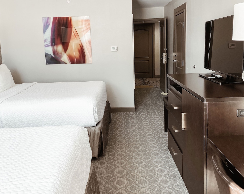 Crowne Plaza Chicago SW Burr Ridge by IHG - photo 18