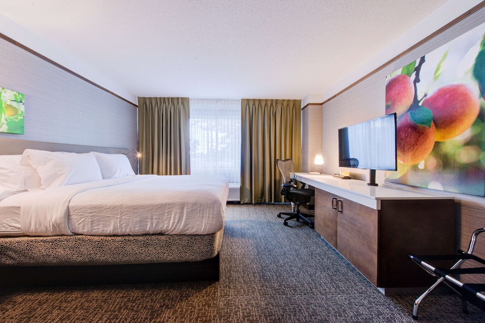Hilton Garden Inn Detroit Southfield MI - photo 21
