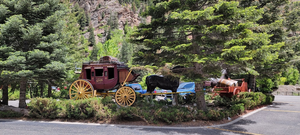 Hot Springs Inn - photo 99