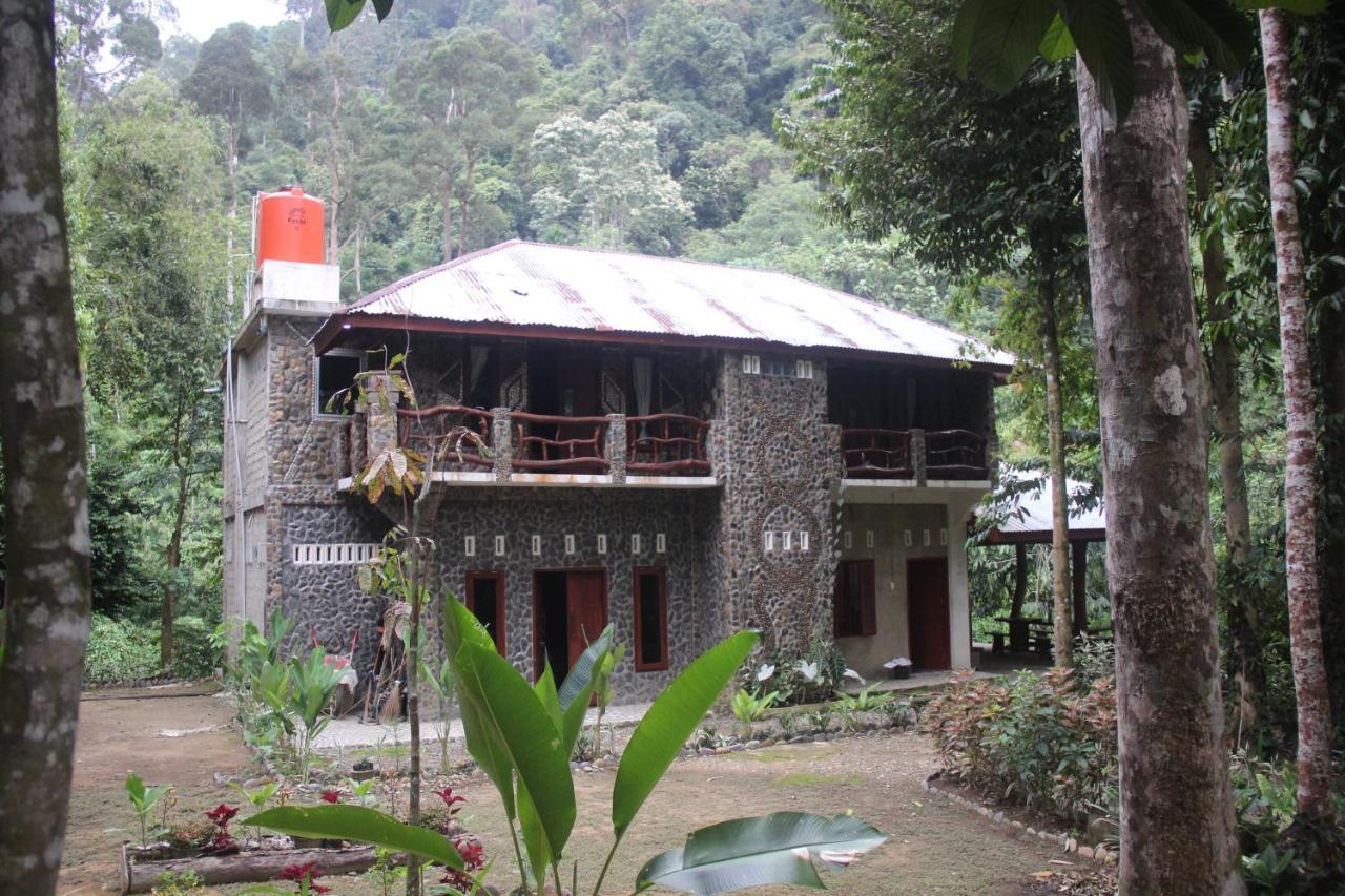 Rinte Green Village & Bukit Lawang Jungle Trekking in Unknown City, Indonesia
