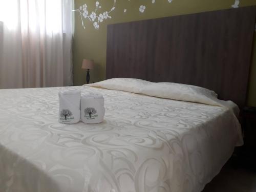 Imca Hotel — Guadalajara De Buga — photo 3