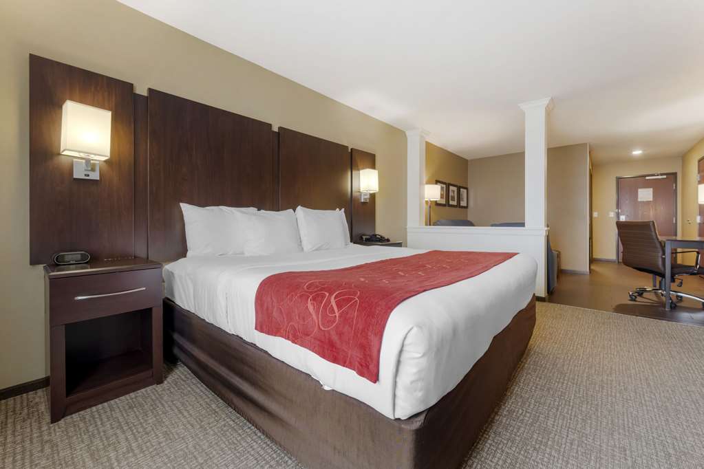 Comfort Suites and Conference Center - photo 13