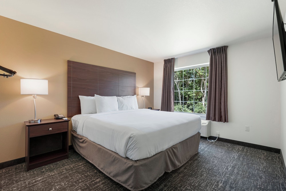 Cobblestone Hotel & Suites Urbana - photo 29