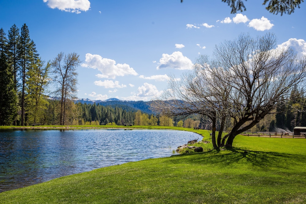 Greenhorn Ranch 12623821 — Quincy