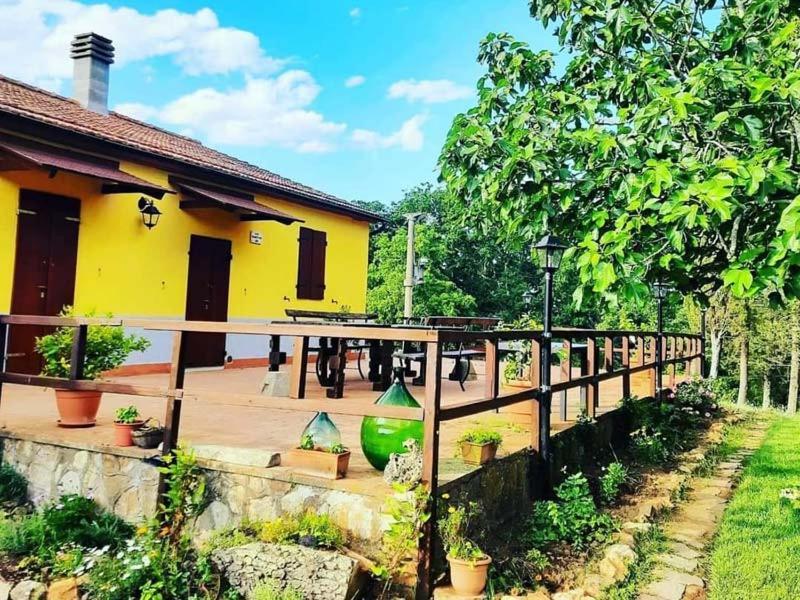 Rifugio la Foresta — hotel in Suvereto