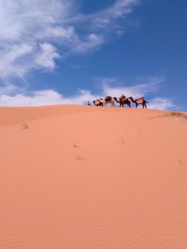 Emosion desert trekking - last minute hotel in Unknown City