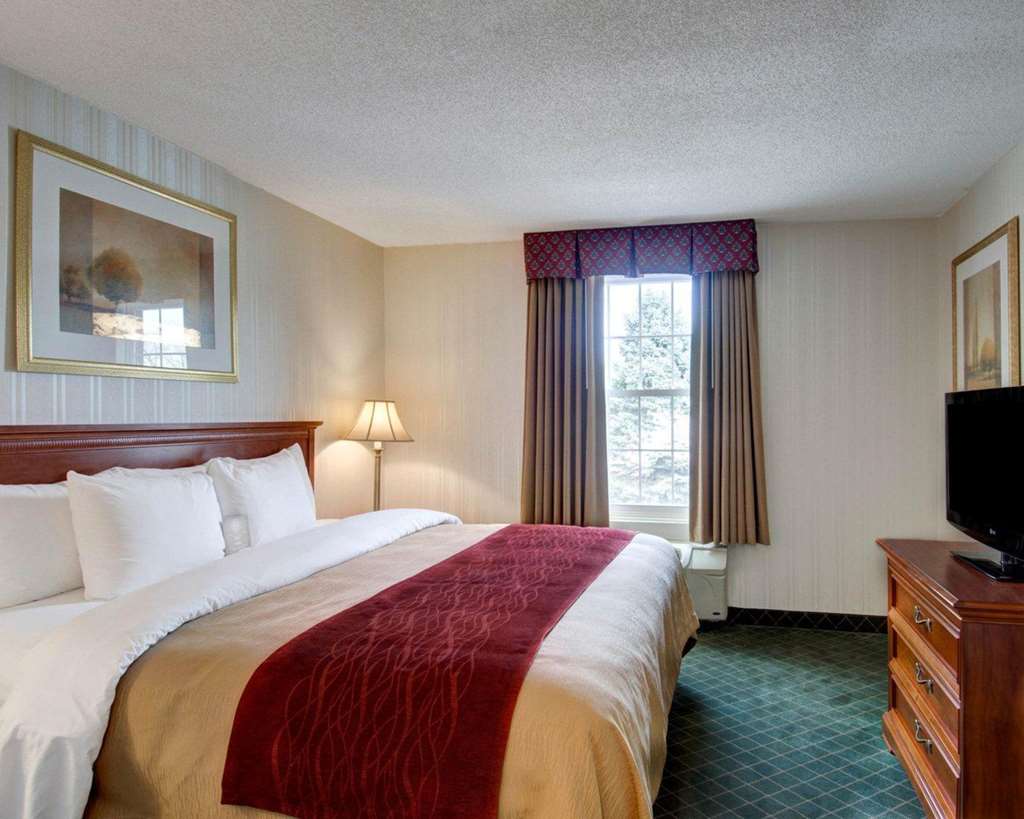 Comfort Inn Foxboro Mansfield - photo 24