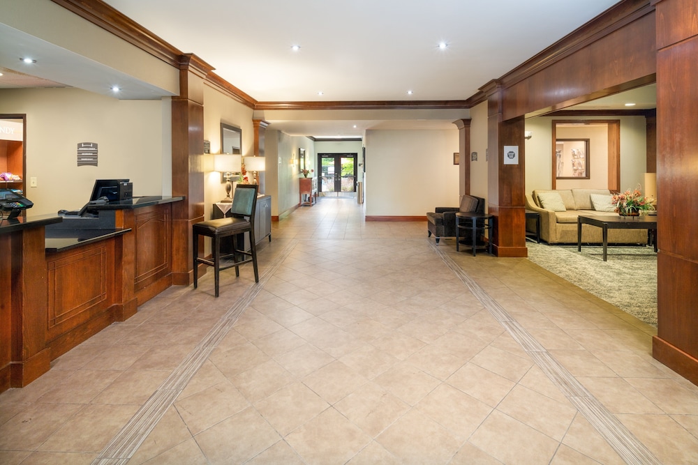 Staybridge Suites Memphis Poplar Ave East by IHG - photo 59