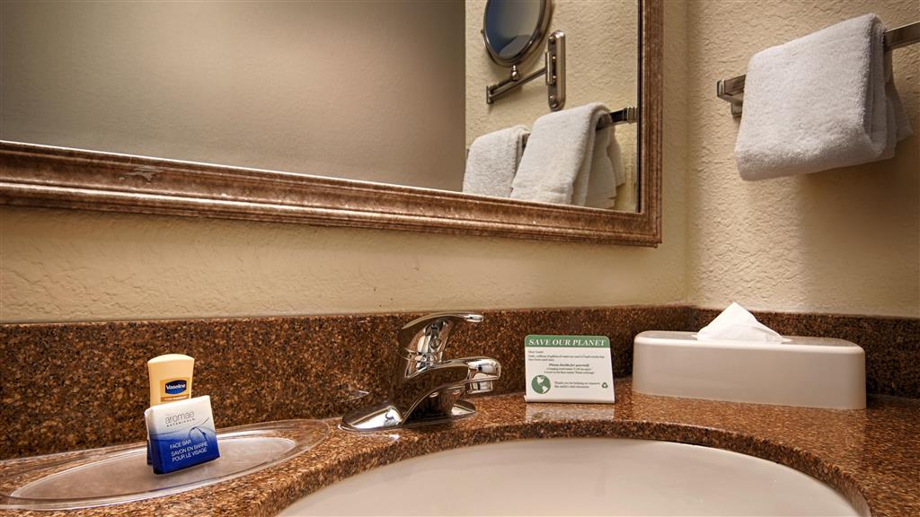 Best Western Plus Newport News Inn & Suites - photo 15