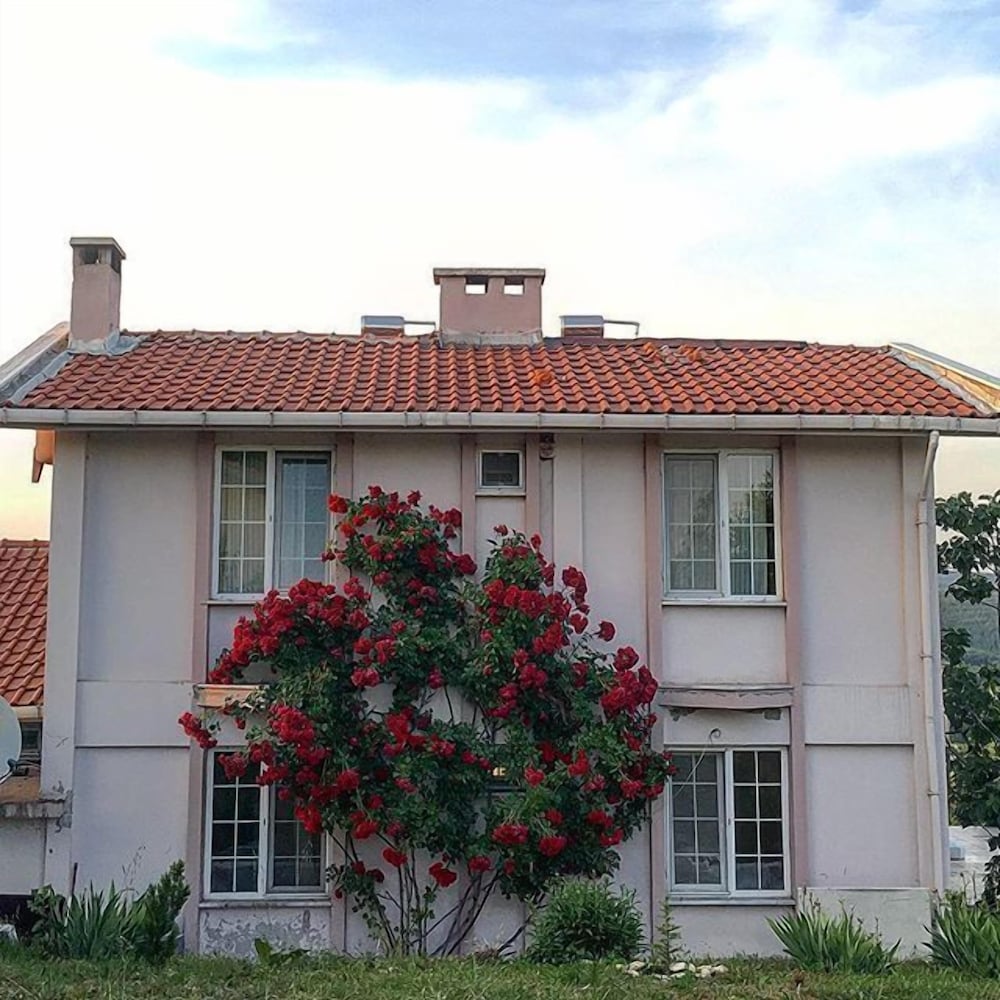 Koyevi Butik Hotel — hotel in Vize