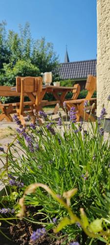 Ferienhaus am Haff — Eggesin — photo 2