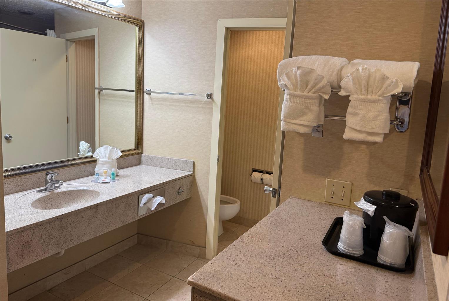 Wingate by Wyndham Livonia - photo 12