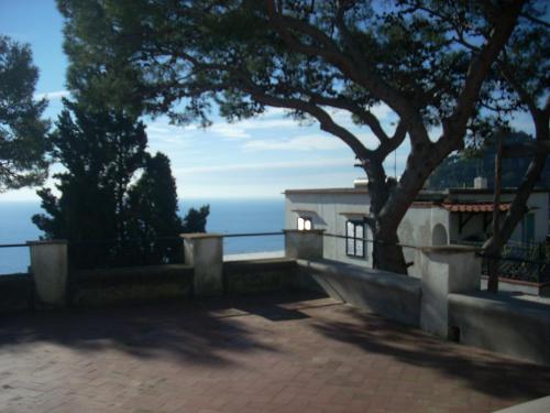 La Terrazza sul blu di Capri — Capri — photo 2