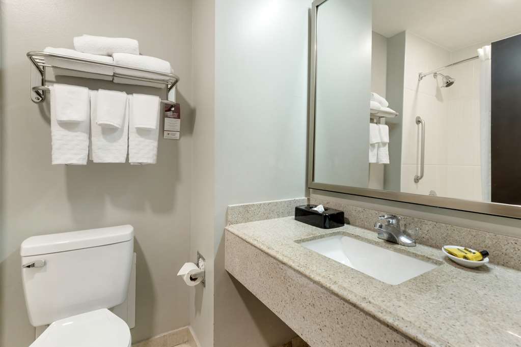 Best Western Plus Edinburg Inn & Suites - photo 38