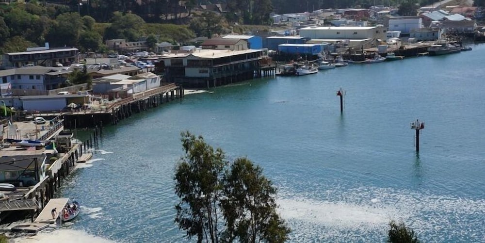North Cliff Hotel - photo 33
