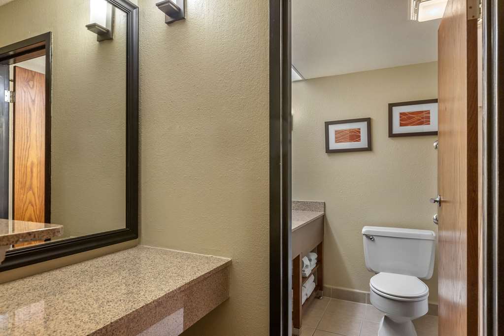 Comfort Inn Grand Rapids Airport - photo 20