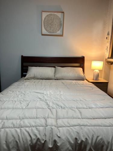 Mango Hostel 420 Friendly