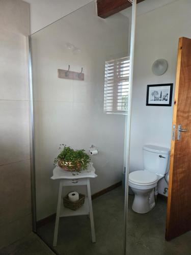 Lowergroen Guest Farm Working Farm — 4-Star Luxury Hotel in Swellendam, South Africa