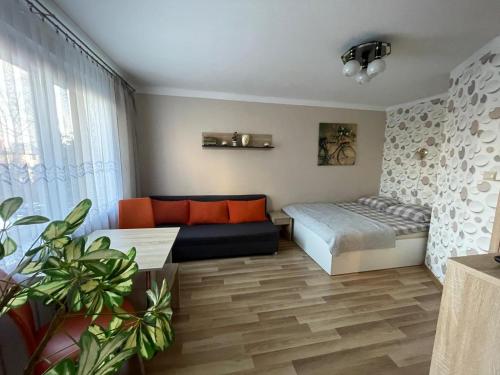 Apartament Mieszkanie przy Parku in Sandomierz, Poland