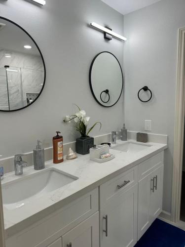 Spacious 1 Bdrm Studio Montrose — 4-Star Luxury Hotel in Houston, United States
