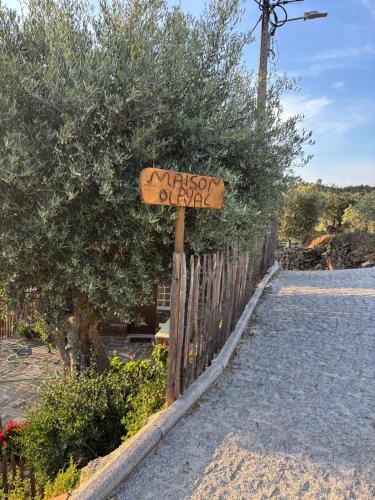 Maison Du Olival — 4-Star Luxury Hotel in Armamar, Portugal