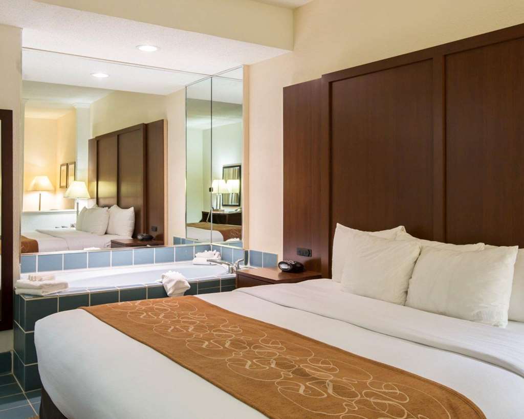 Comfort Suites Cumming Atlanta near Northside Hospital Forsyth - photo 12