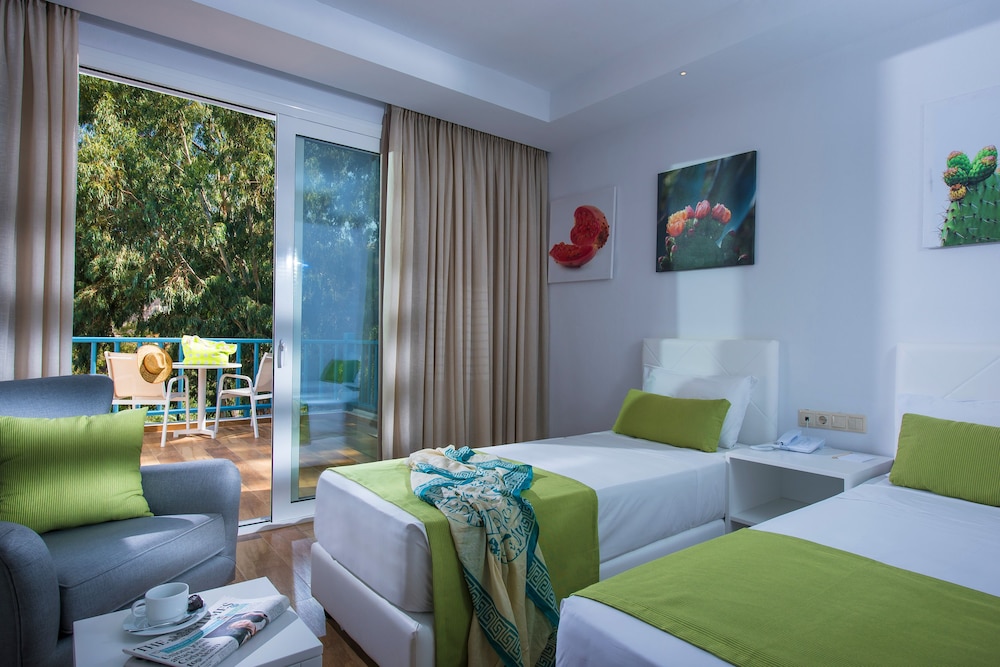 שטחי חוץ / גן