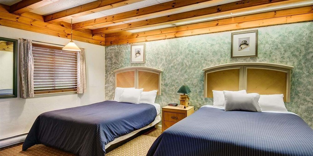 Wrens Nest Inn - photo 26