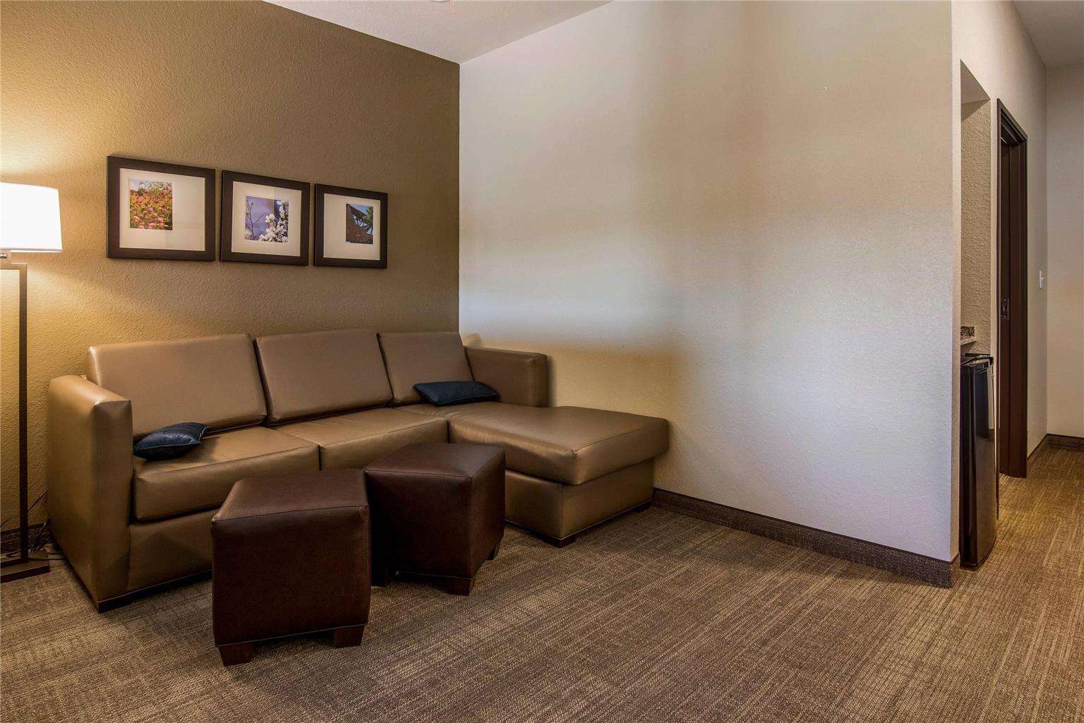 Comfort Suites Brunswick Town Center - photo 11