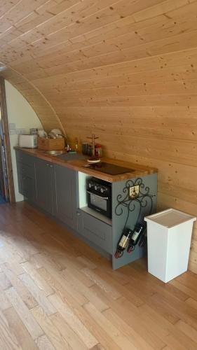 Railway Pod Castlewellan — hotel in Castlewellan