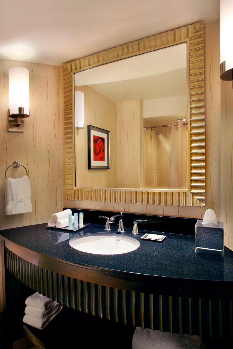 Hilton Rosemont Chicago O'Hare - photo 44