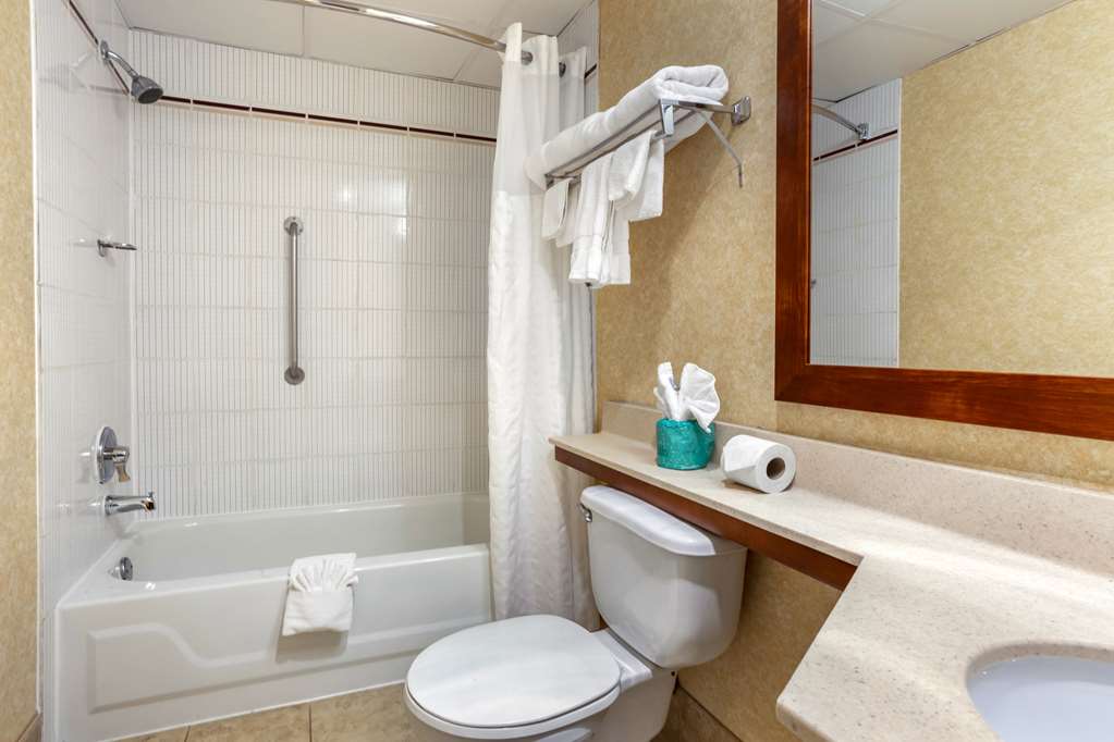 Comfort Suites Oakbrook Terrace near Oakbrook Center - photo 16