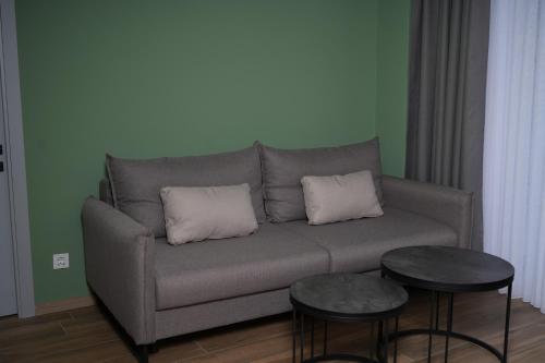Eikon Apartments Abastumani