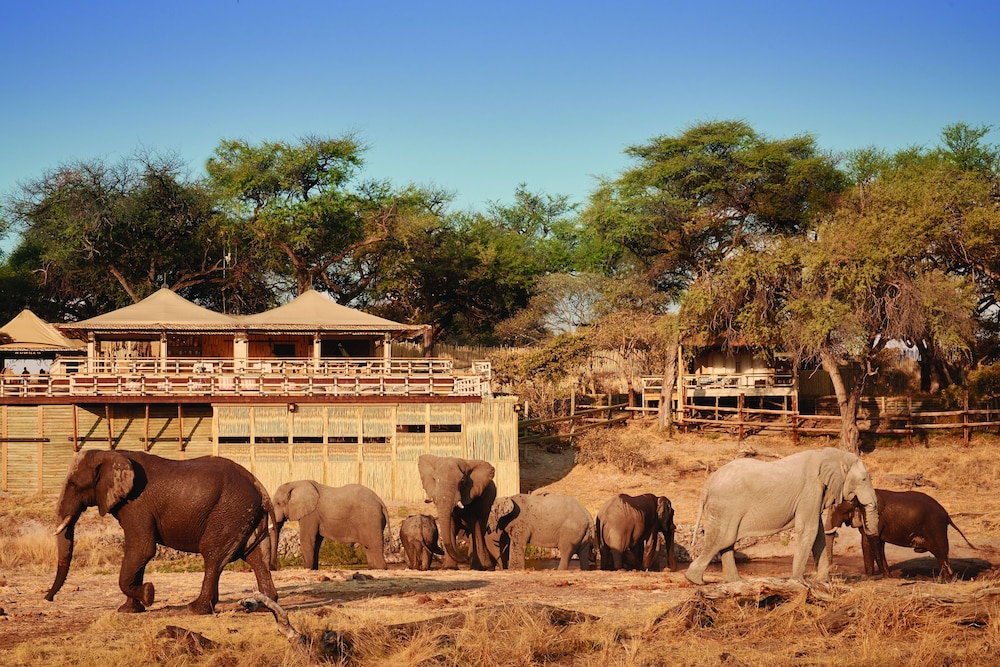 Belmond Safaris in Maun, Botswana