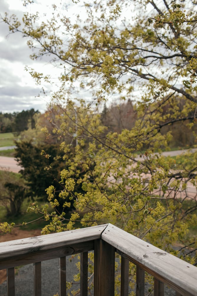 Seagull Bay Motel - photo 172