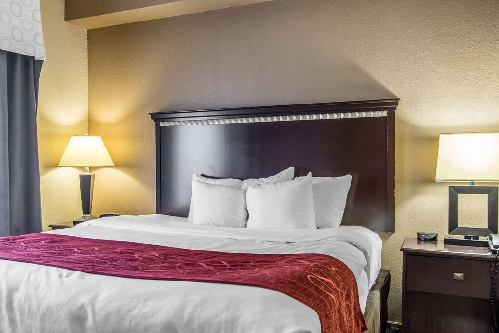 Comfort Suites Smyrna Nashville Area - photo 17