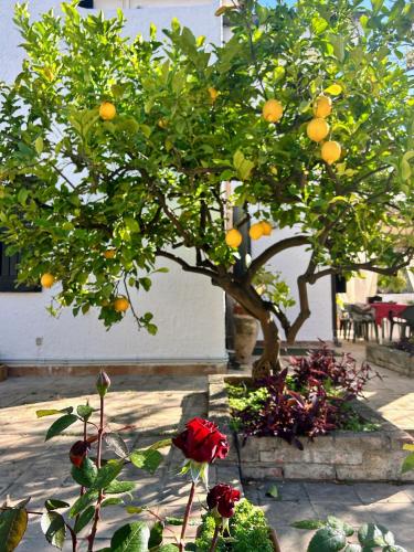 Casa del Sileno 12 — 4-Star Luxury Hotel in Giardini-Naxos, Italy