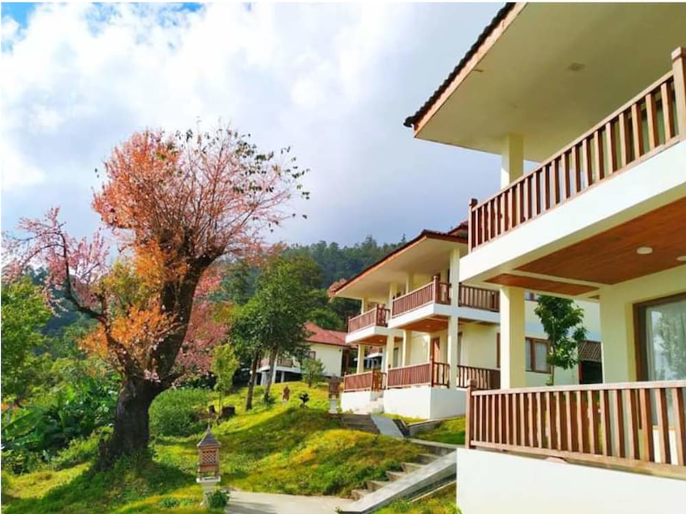 Win Unity Kanpetlet in Unknown City, Myanmar