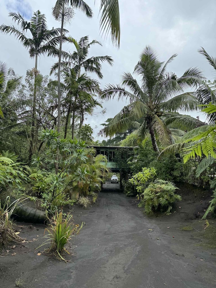 Jungle Oasis - last minute hotel in Unknown City