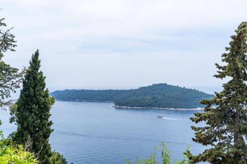 Villa Green Panorama