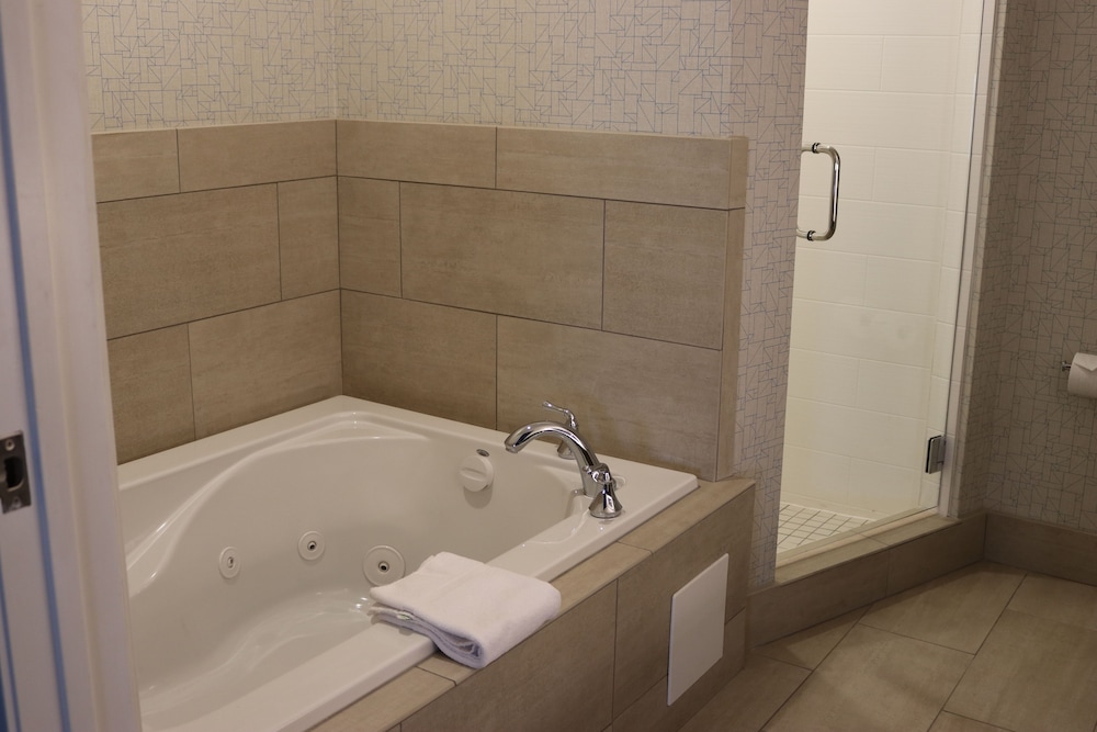 Holiday Inn Express Hotel & Suites El Dorado Hills - photo 42