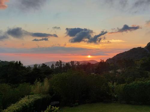 Villa Golondrina Cabaña rodeada de Naturaleza — 4-Star Luxury Hotel in Puntarenas, Costa Rica