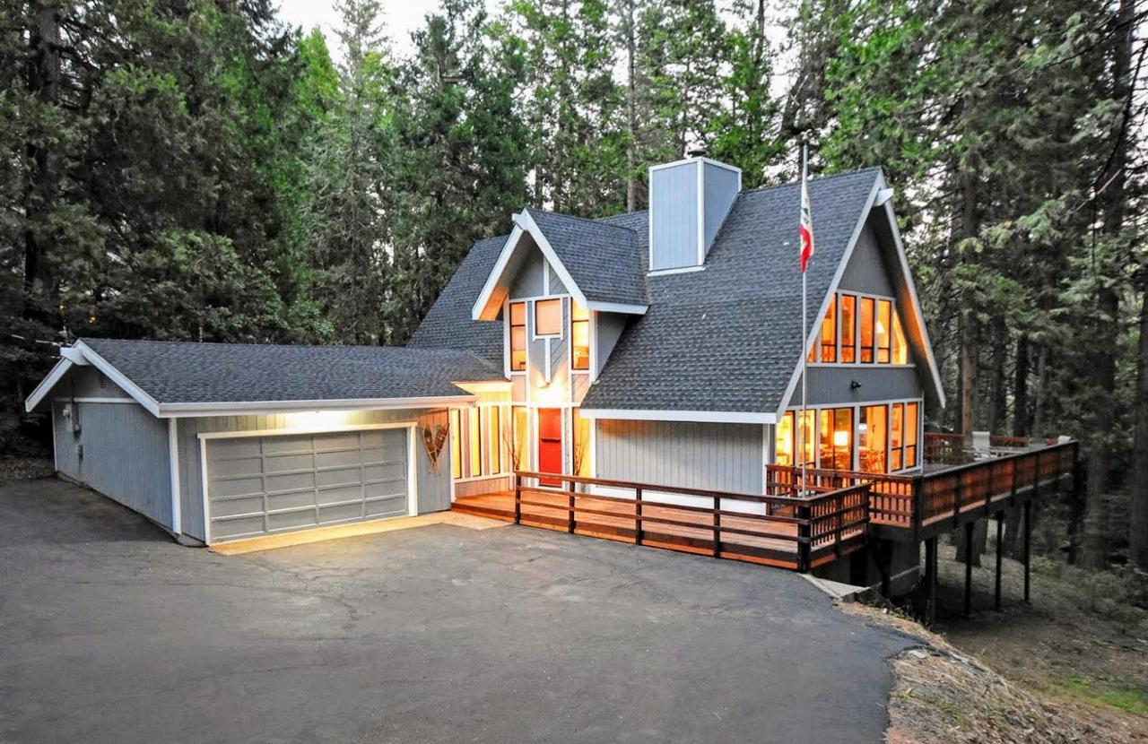 Dancing With Trees in Arnold, United States