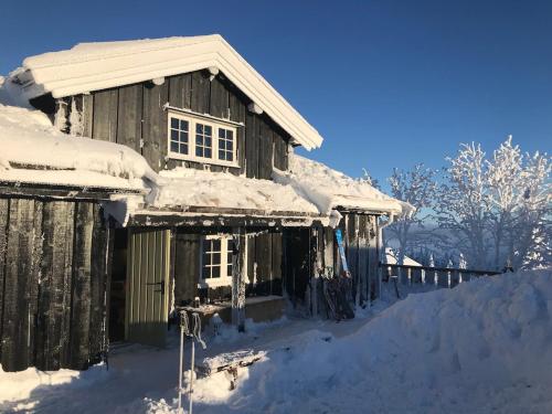 Bjønnhiet in Innbygda, Norway